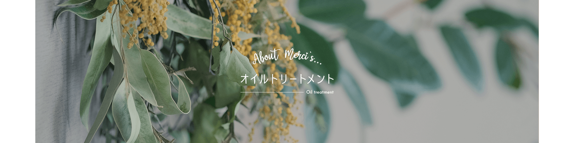 オイルトリートメント